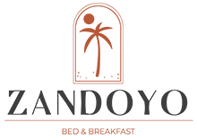 zandoyo logo